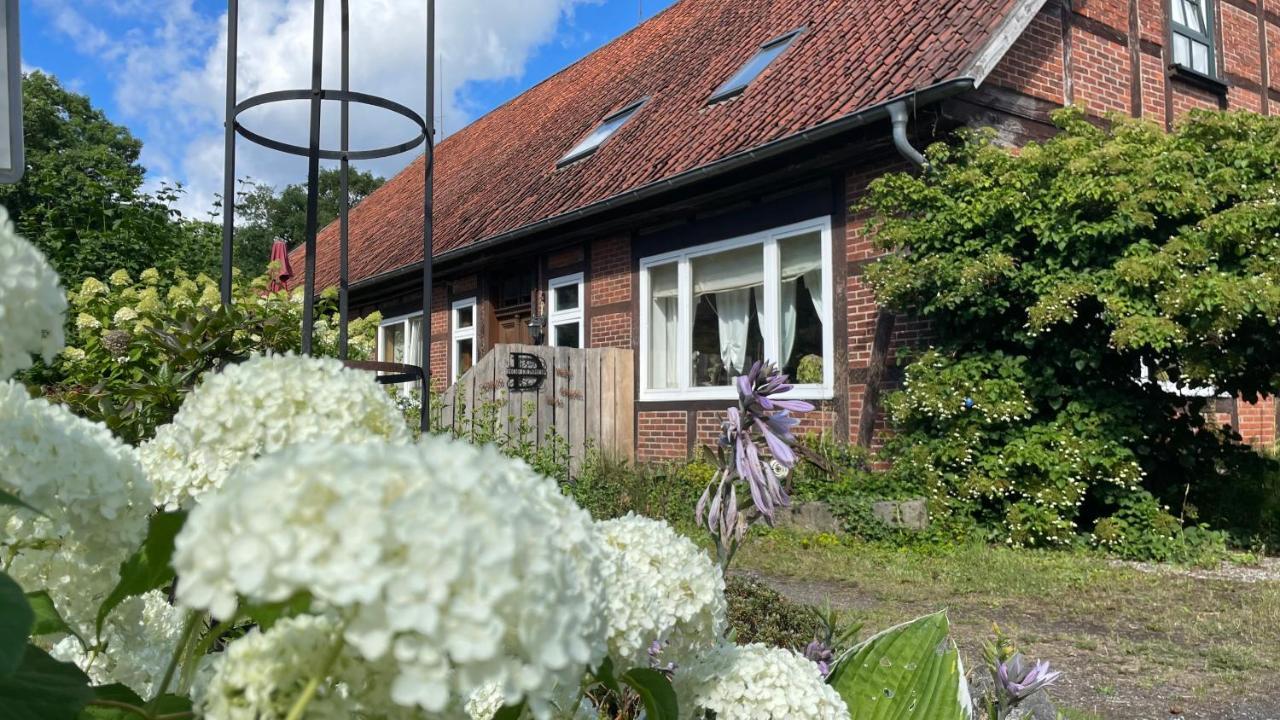 Hof Dueshop Leilighet Bad Fallingbostel Eksteriør bilde
