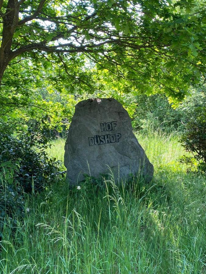 Hof Dueshop Leilighet Bad Fallingbostel Eksteriør bilde