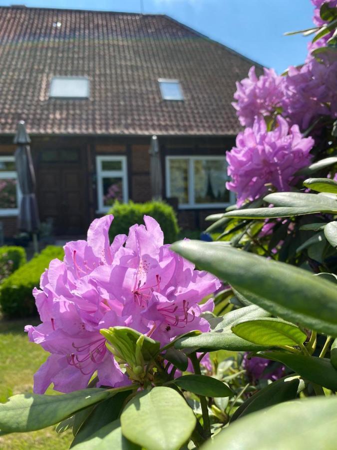 Hof Dueshop Leilighet Bad Fallingbostel Eksteriør bilde